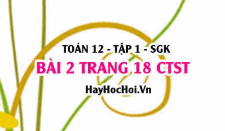 Bài 2 trang 18 Toán 12 tập 1 Chân trời sáng tạo